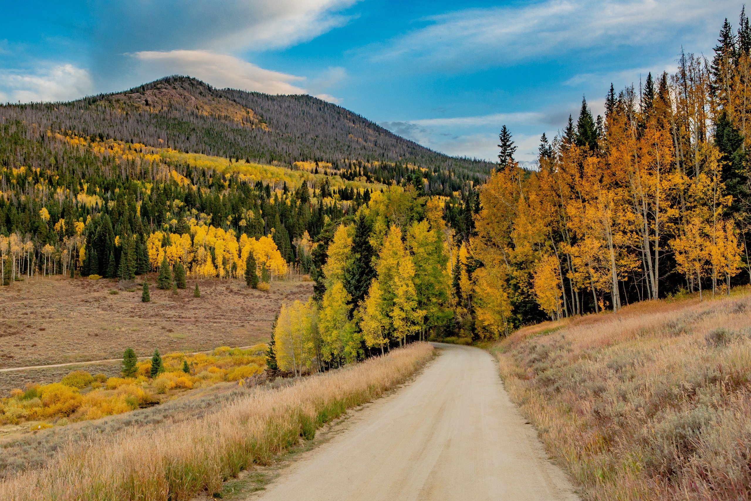 Backroad leading to Snow Mountain trailhead, fall colors casting the forest in a golden glow.