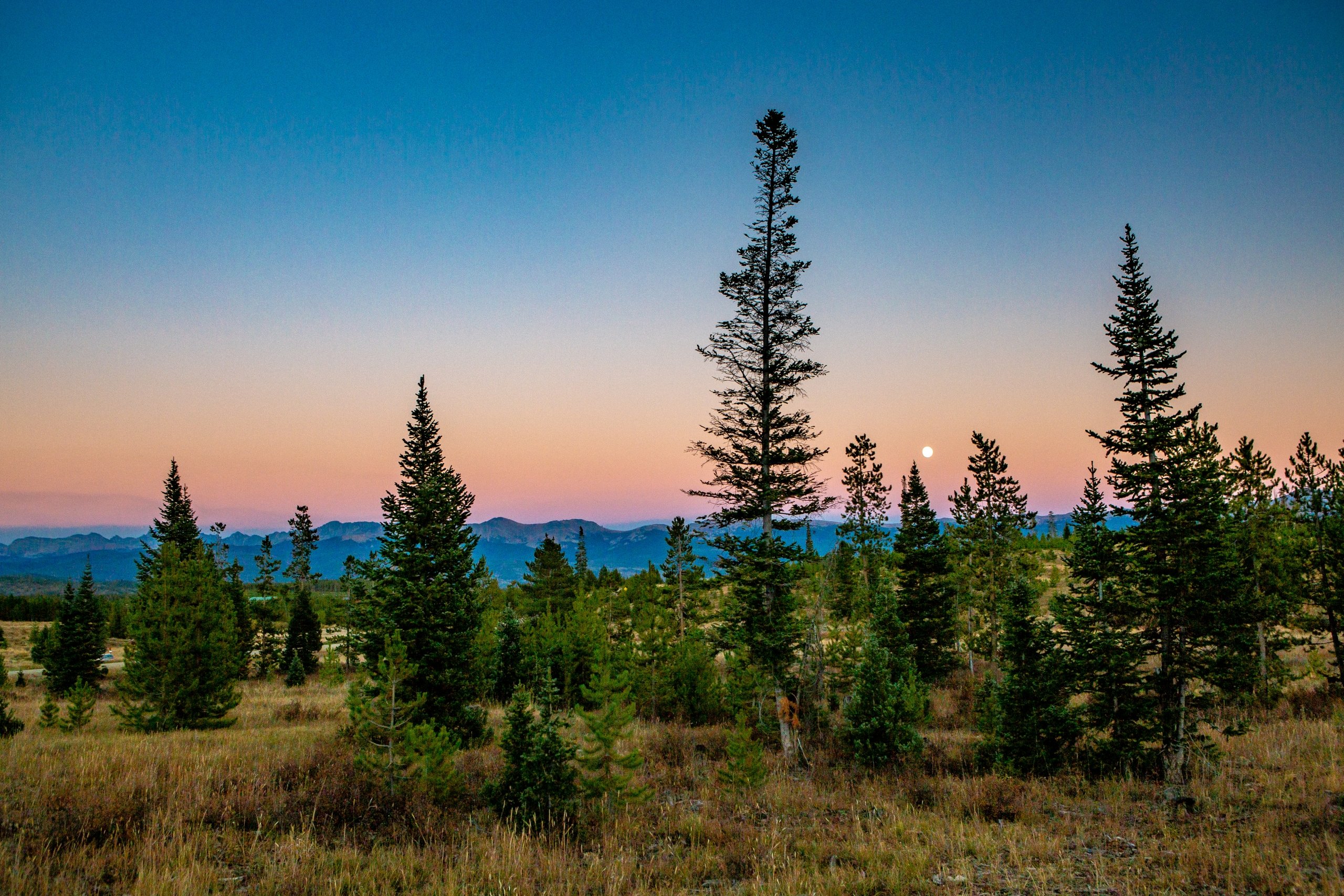 The sun sinking low in the sky over an expanse of trees, casting numerous colors across the sky